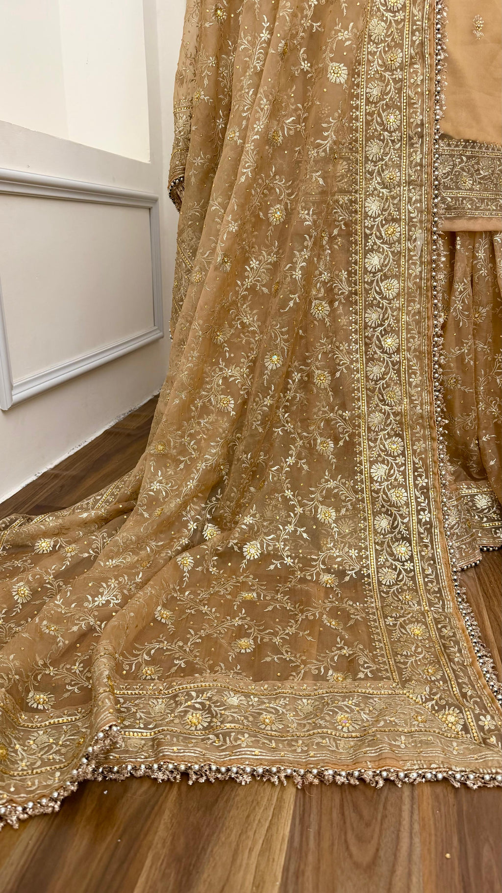CAMEL SHADE BANARASI SOFT ORGANZA GHARARA