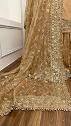 CAMEL SHADE BANARASI SOFT ORGANZA GHARARA