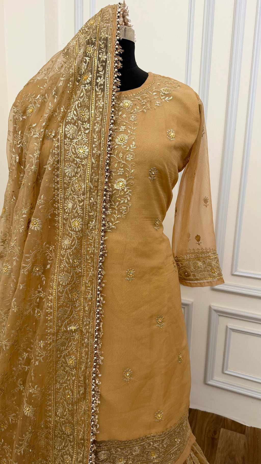 CAMEL SHADE BANARASI SOFT ORGANZA GHARARA