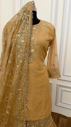 CAMEL SHADE BANARASI SOFT ORGANZA GHARARA