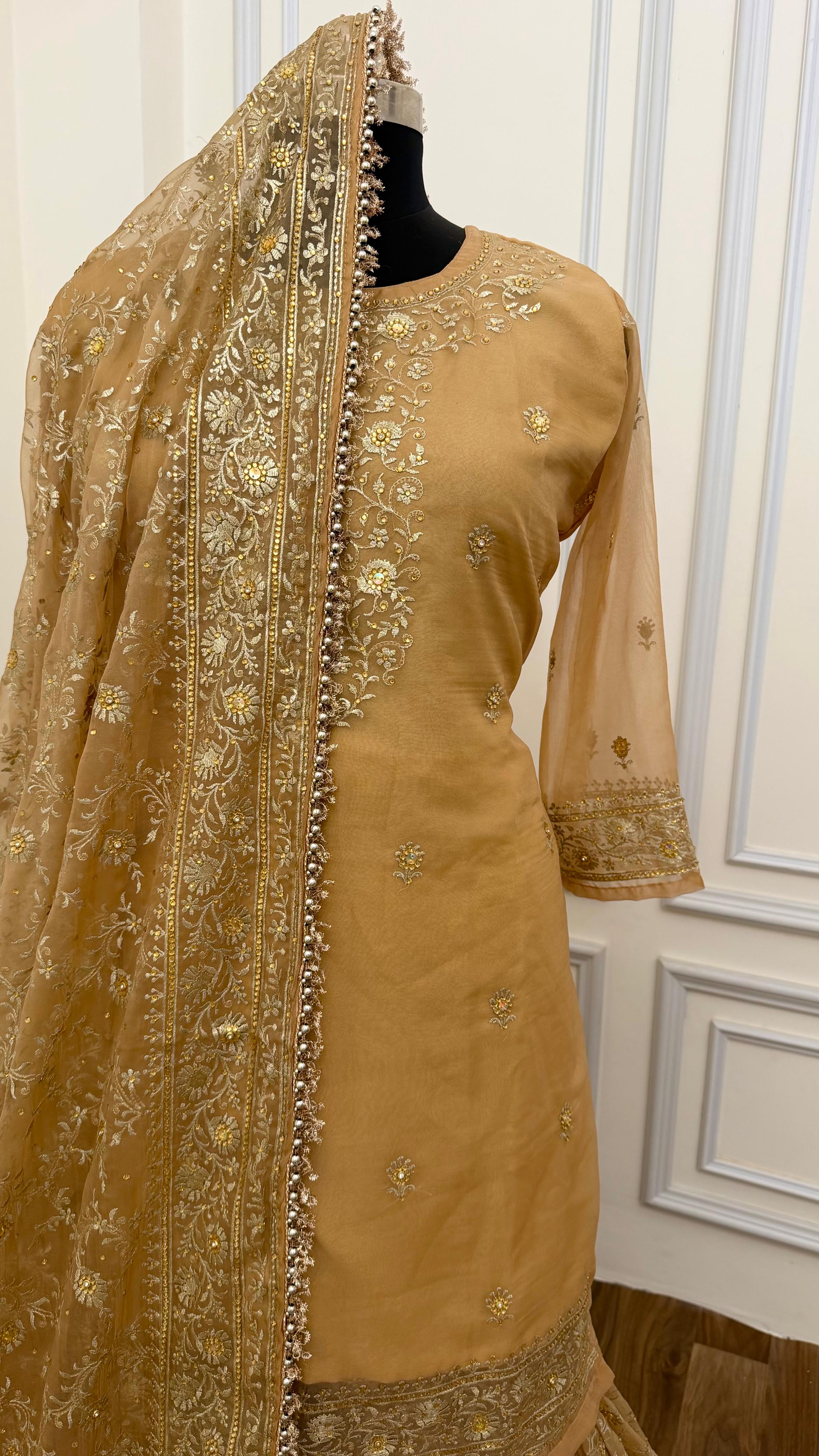 CAMEL SHADE BANARASI SOFT ORGANZA GHARARA