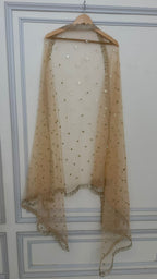 GEORGETTE FABRIC BASED GOTA PATTI ANARKALI