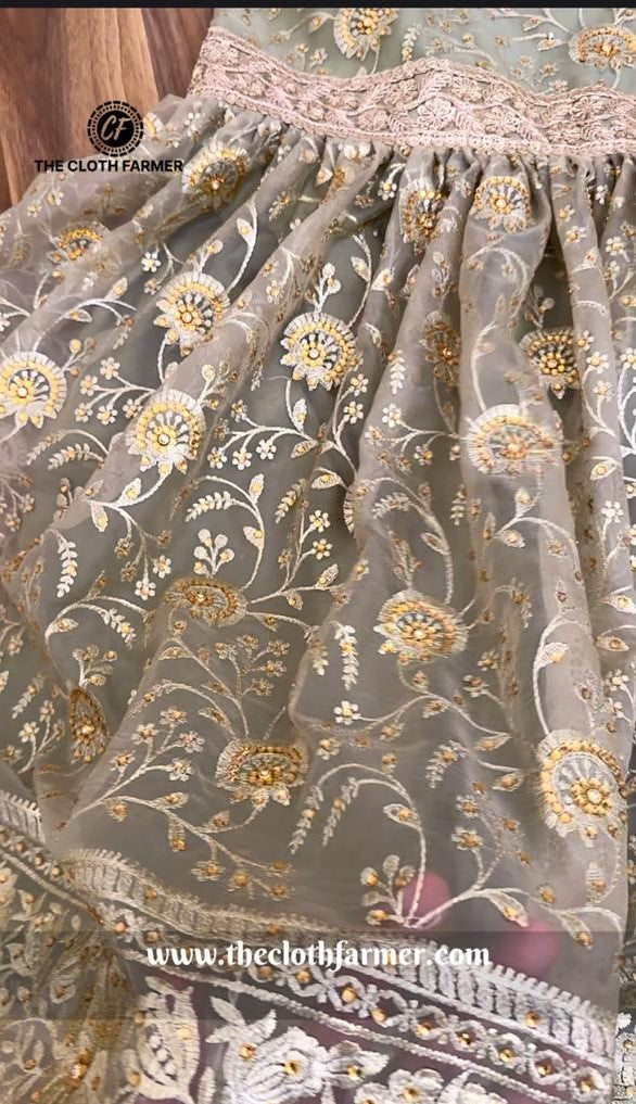 IVORY SHADE JAAL PATTERN ORGANZA GHARARA