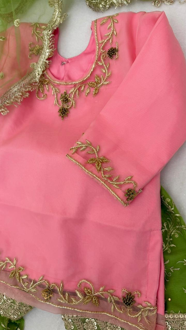 PISTA  BABY PINK ZARDOZI ZARI WORK GHARARA