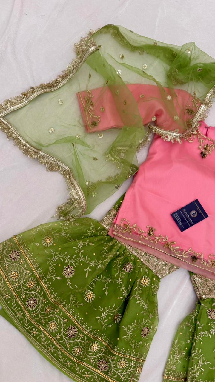 PISTA  BABY PINK ZARDOZI ZARI WORK GHARARA