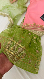 PISTA  BABY PINK ZARDOZI ZARI WORK GHARARA