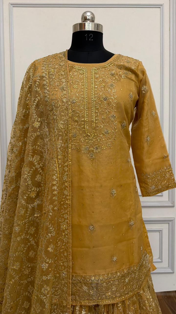 PEACH COLOR ORGANZA GHARARA