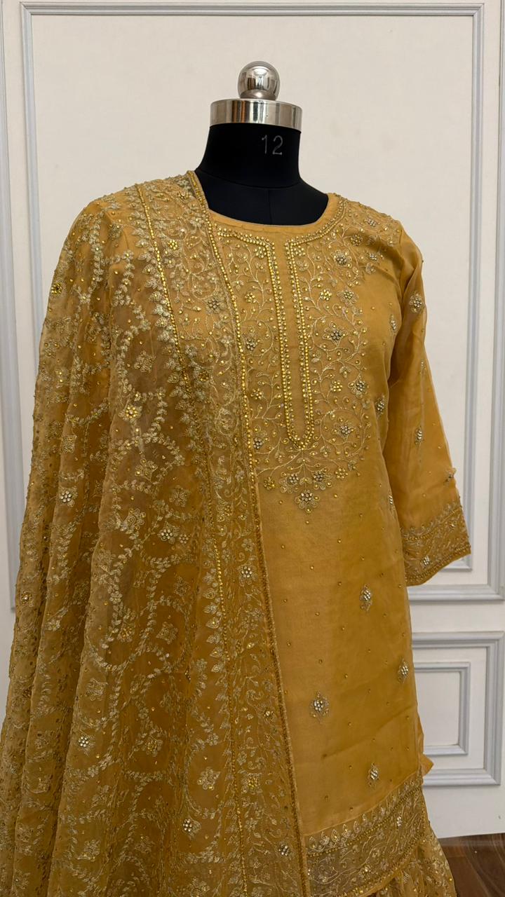 PEACH COLOR ORGANZA GHARARA