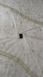 DYEBLE ORGANZA DUPATTA