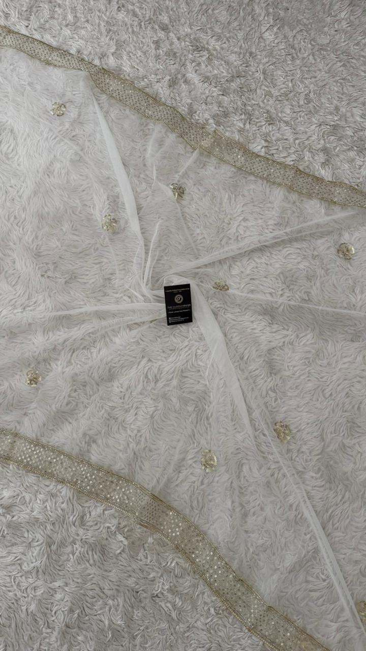 DYEBLE ORGANZA DUPATTA