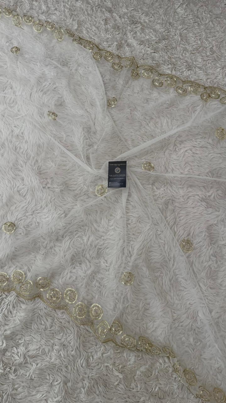 DYEBLE ORGANZA DUPATTA