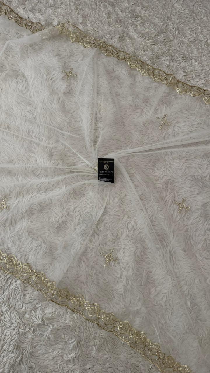 DYEBLE ORGANZA DUPATTA