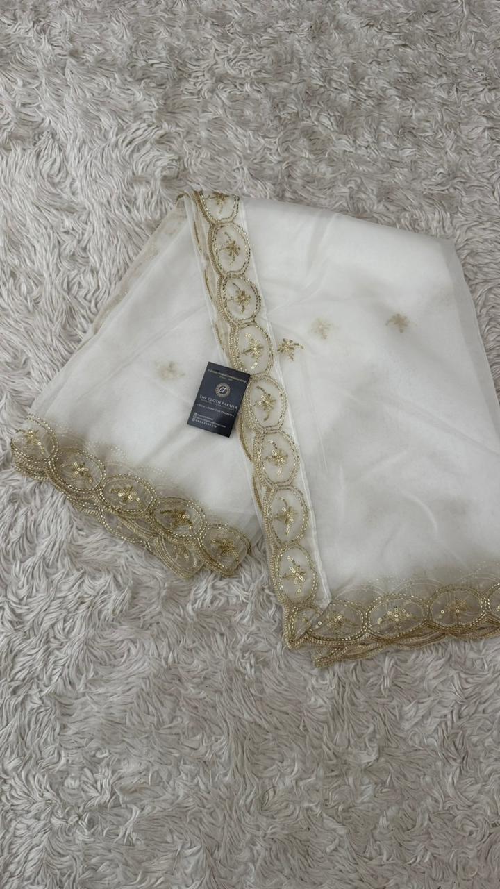 DYEBLE ORGANZA DUPATTA