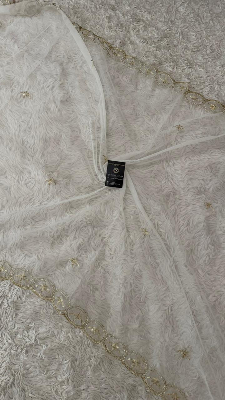 DYEBLE ORGANZA DUPATTA