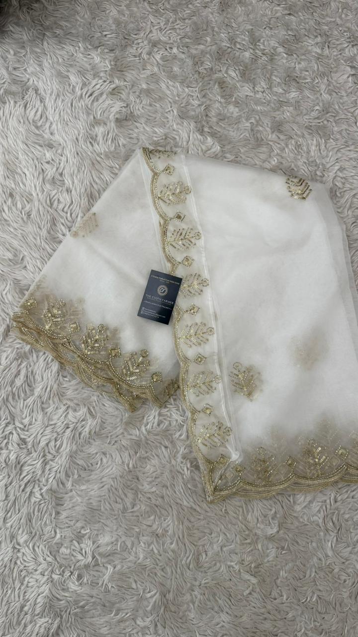 DYEBLE ORGANZA DUPATTA