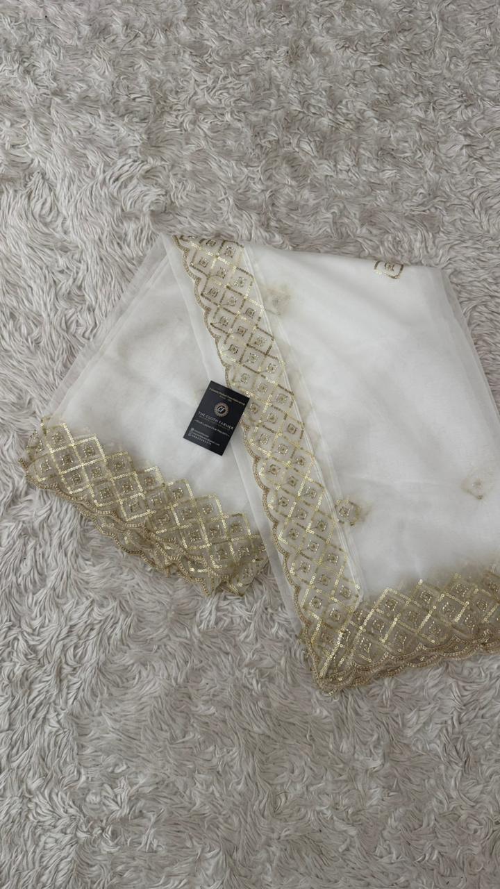DYEBLE ORGANZA DUPATTA