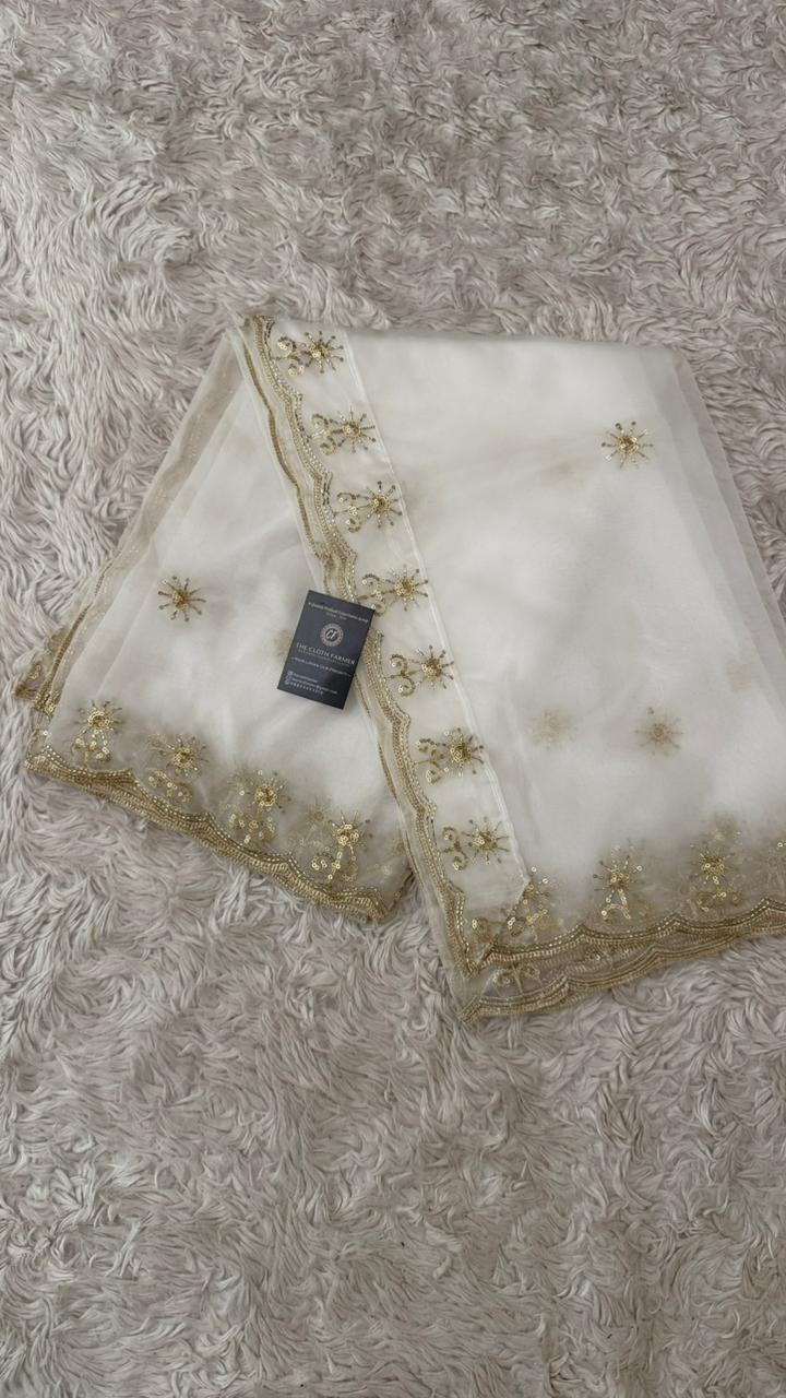 DYEBLE ORGANZA DUPATTA