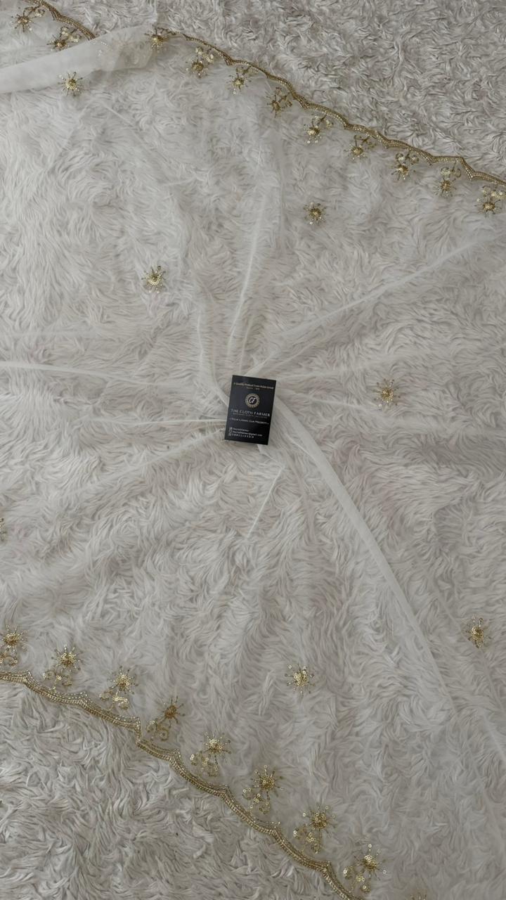 DYEBLE ORGANZA DUPATTA