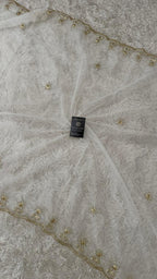 DYEBLE ORGANZA DUPATTA