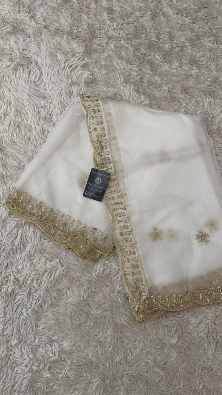 DYEBLE ORGANZA DUPATTA