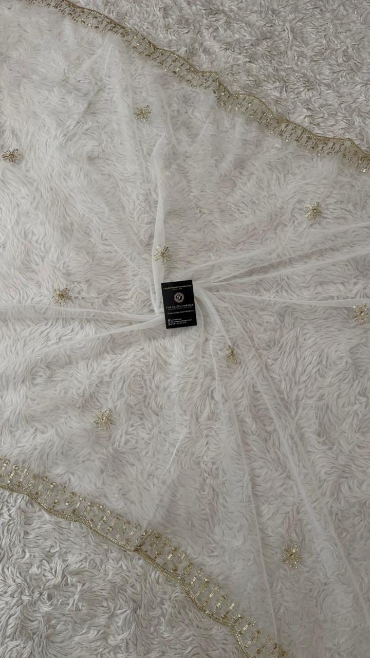 DYEBLE ORGANZA DUPATTA
