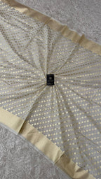 DYEBLE COSMO SILK DUPATTA WITH TUSSEL