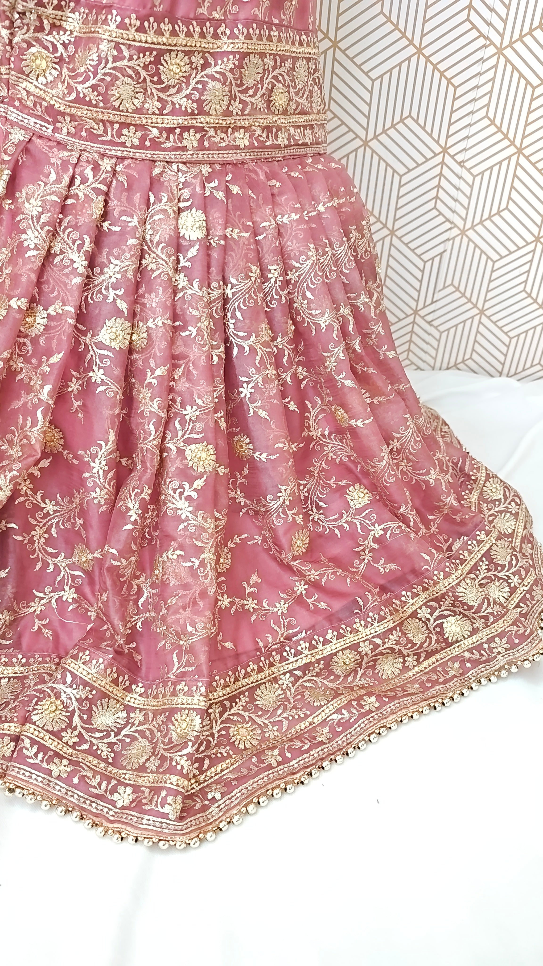 Onion shade Jaal Pattern Embroidered Gharara