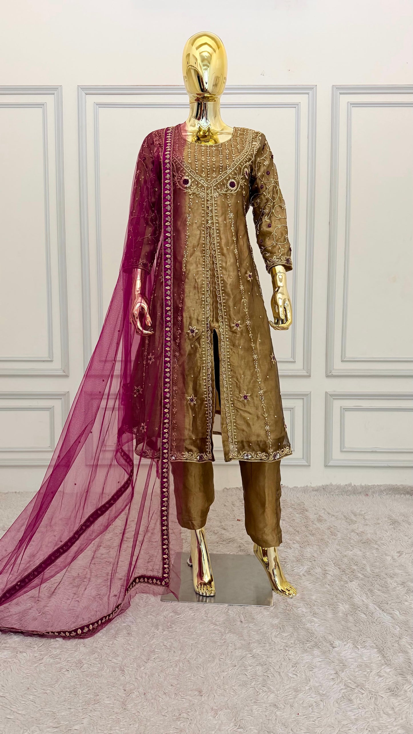 NOOR-E-ZARI EVOLUTION