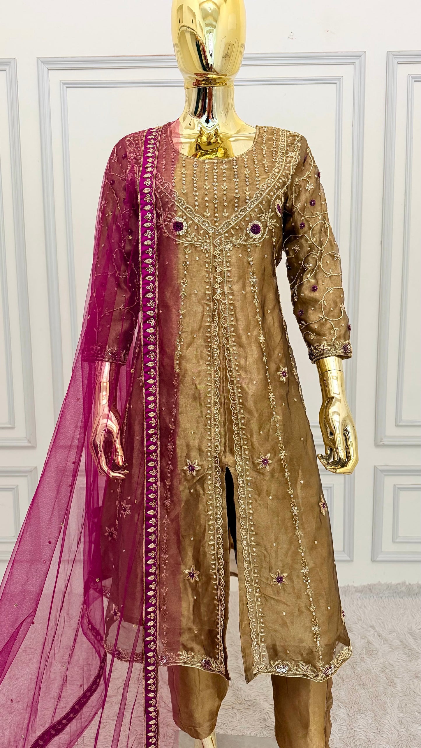 NOOR-E-ZARI EVOLUTION
