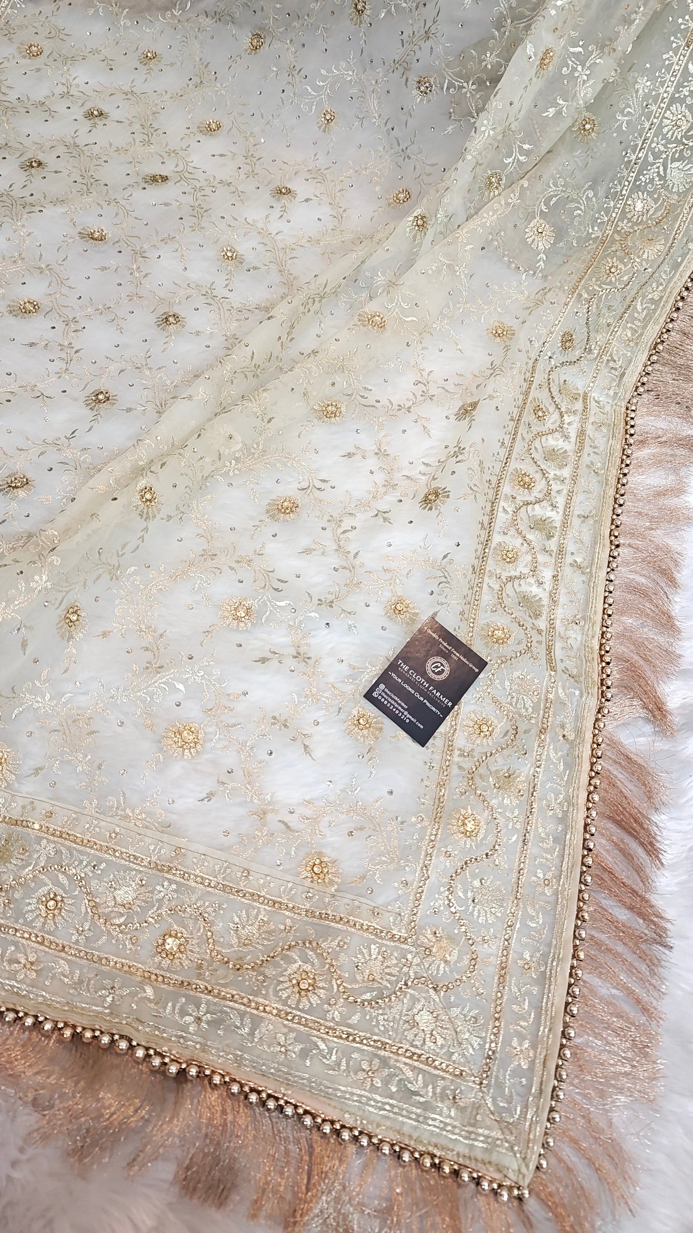 Off white  Jaal Pattern Embroidered Gharara