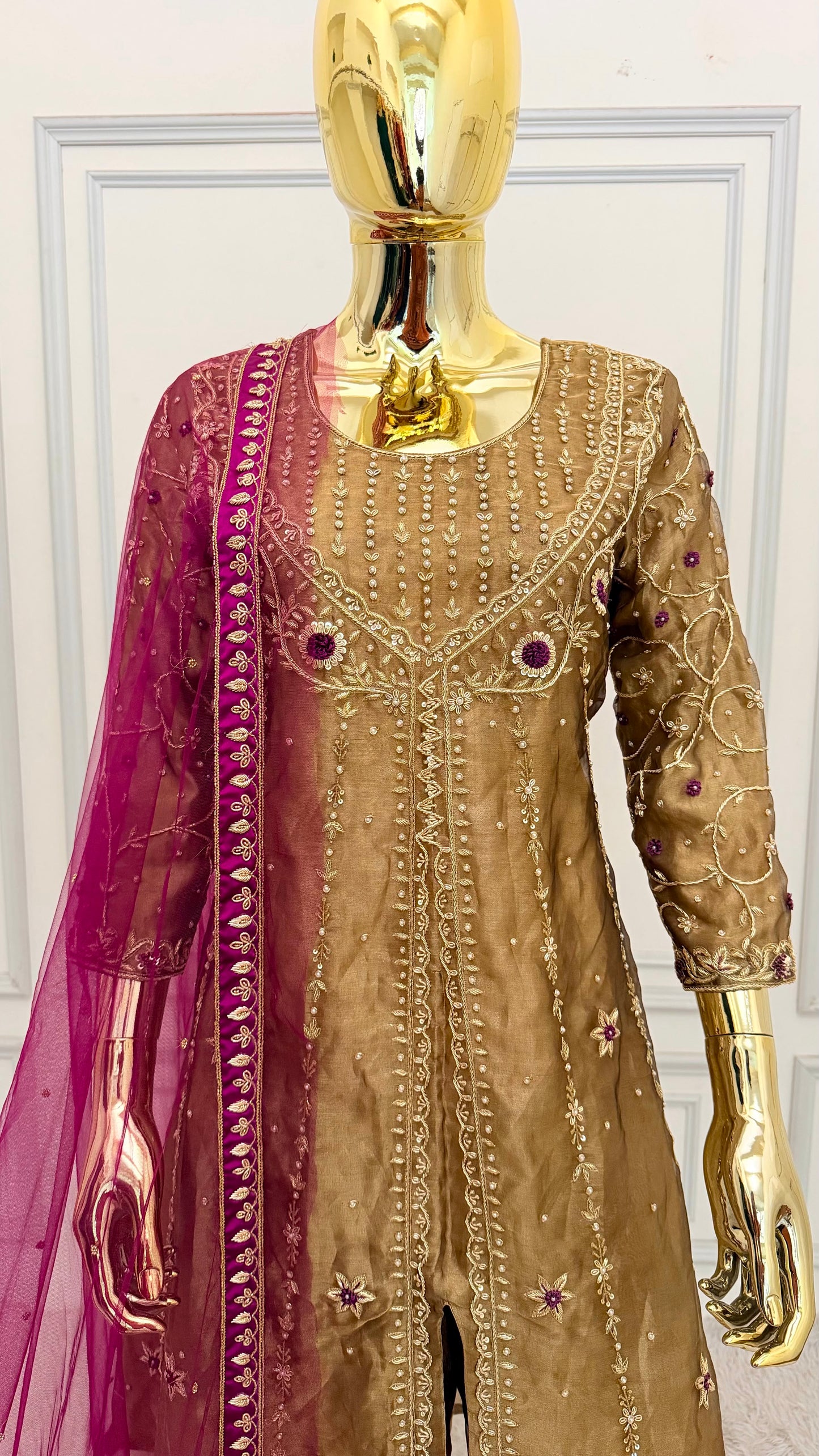NOOR-E-ZARI EVOLUTION