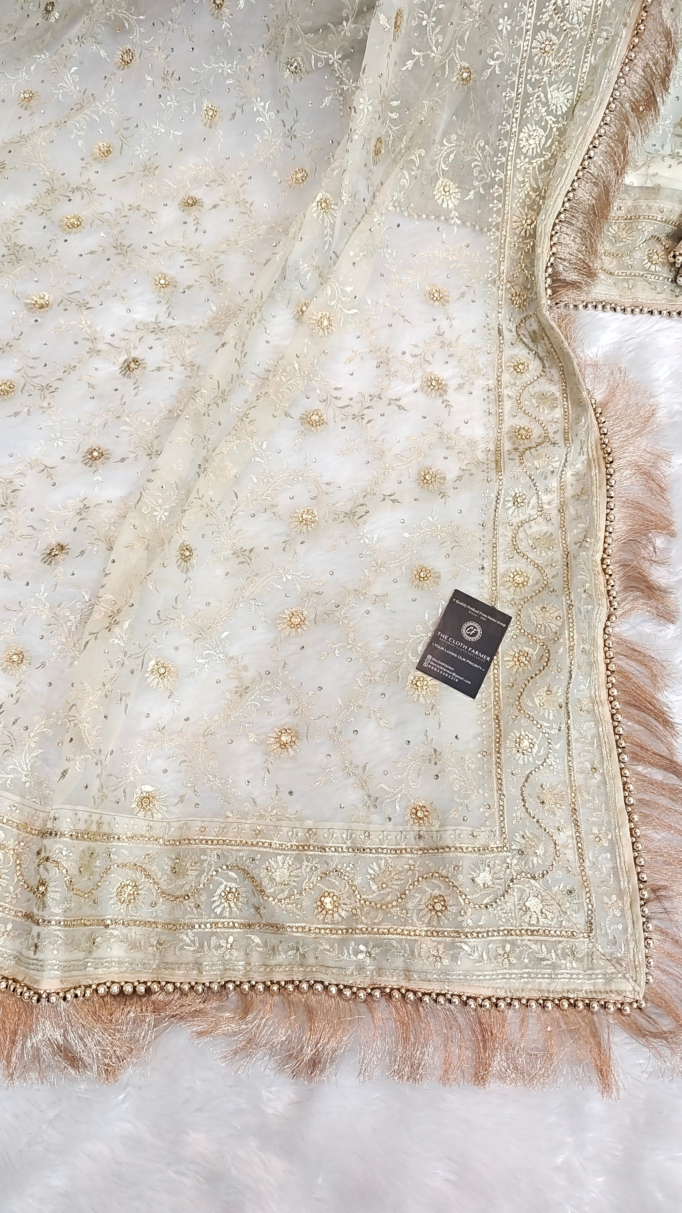Off white  Jaal Pattern Embroidered Gharara