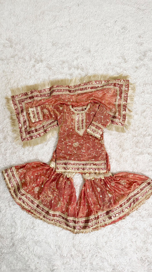 PEACH KIDS ORGANZA RAMPURI GHARARA