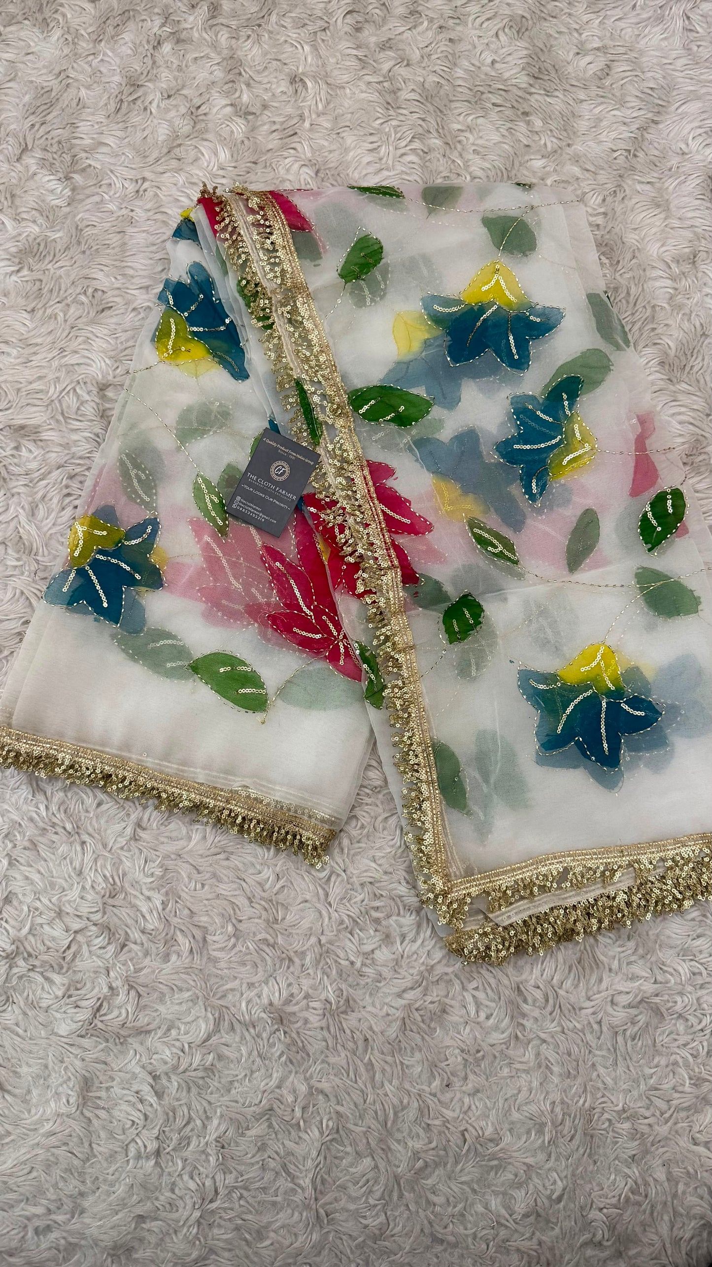 RED BLUE GREEN FLORAL PAINTED DUPATTA