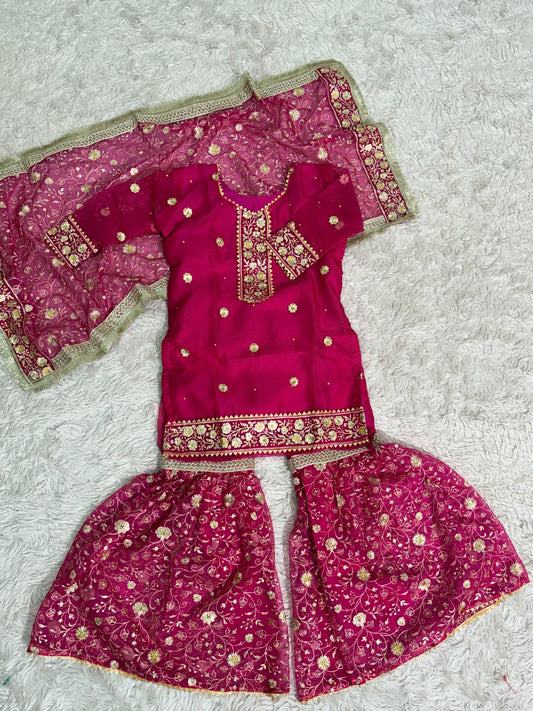 RANI PINK ORGANZA KIDS GHARARA
