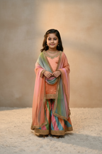GOTA PATTI MULTI COLOR LIGHT SHADE  GHARARA