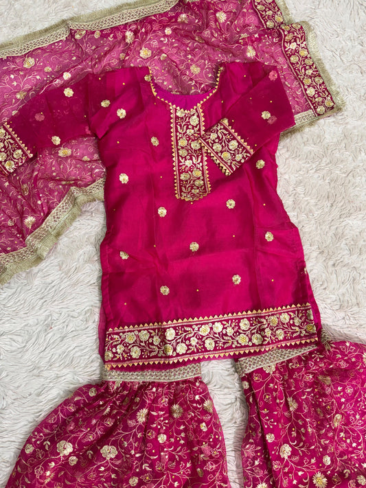 RANI PINK ORGANZA KIDS GHARARA