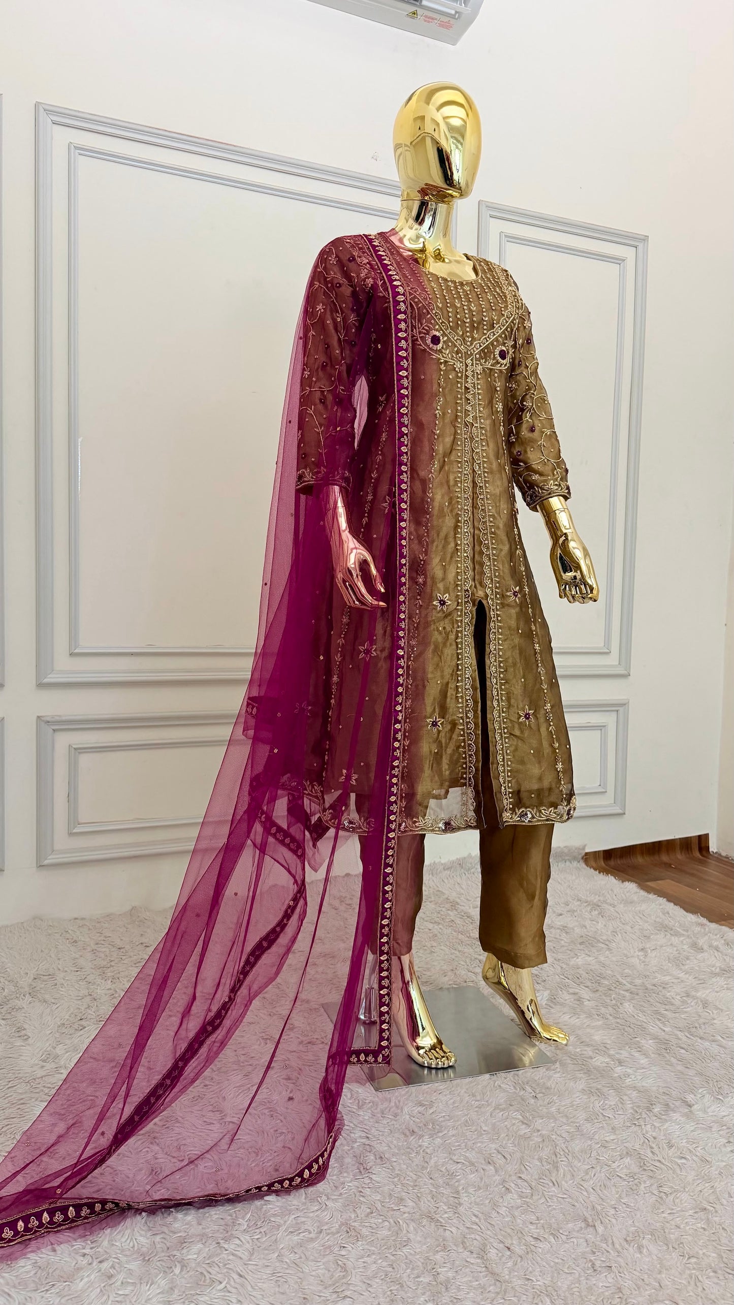 NOOR-E-ZARI EVOLUTION
