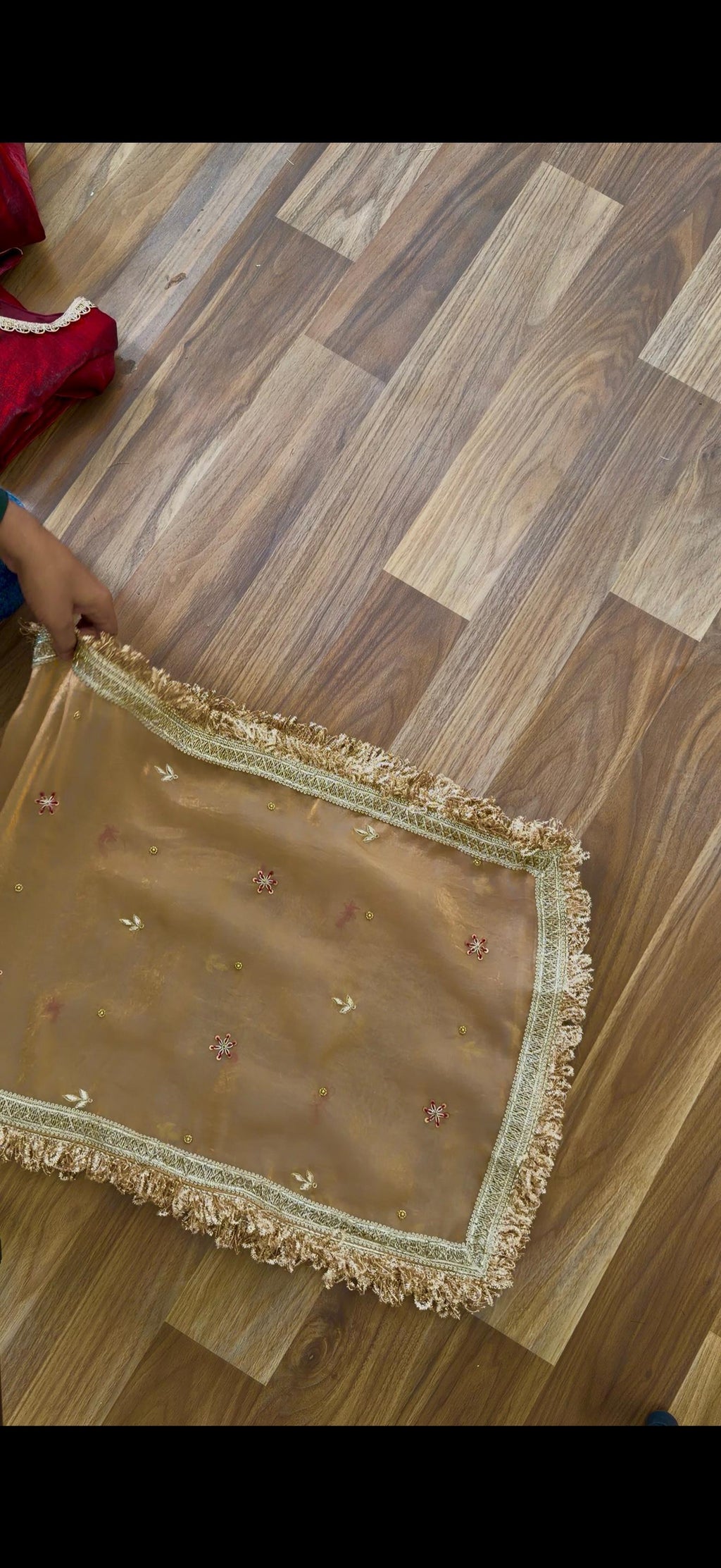 Italian shimmer silk based blood maroon gharara